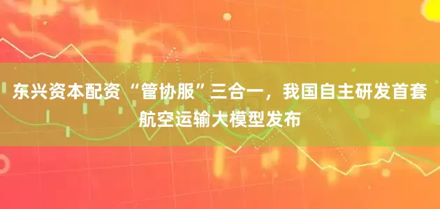 东兴资本配资 “管协服”三合一，我国自主研发首套航空运输大模型发布